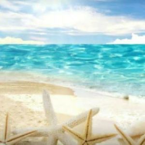 Meet your Posher, Rodriguez